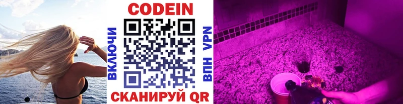 Codein напиток Lean (лин)  где можно купить наркотик  ссылка на мегу ONION  Полесск 