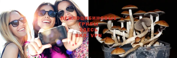 гашик Беломорск