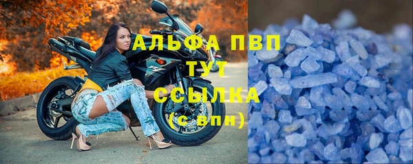 гашик Беломорск