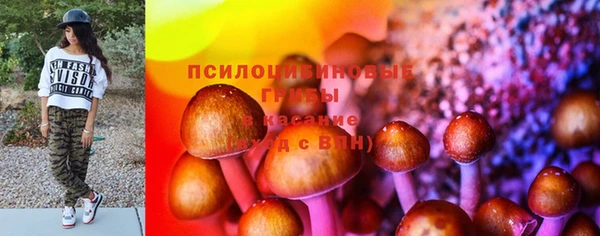 метадон Белокуриха
