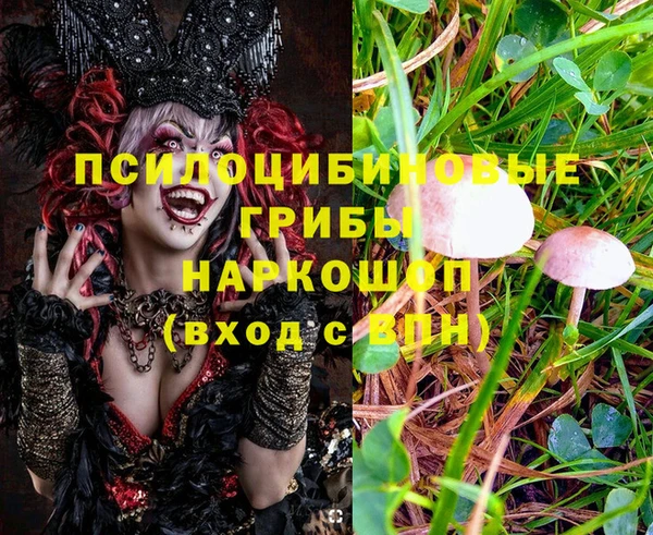 гашик Беломорск